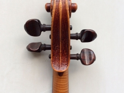 violino-carlini-1