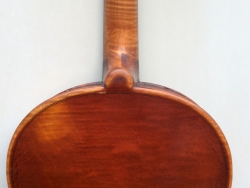 violino-carlini-2