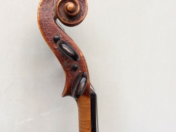 violino-carlini-5