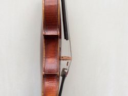 violino-carlini-6