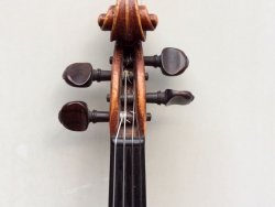 violino-carlini-7