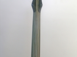 DSCN2110