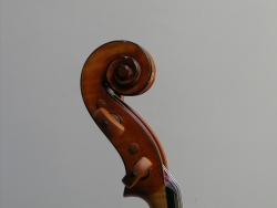 DSCN2232