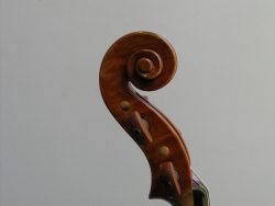 DSCN2233