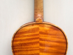 violino-soffritti-2