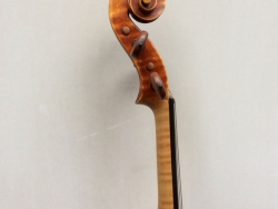 violino-soffritti-6