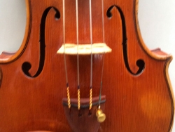 violino-soffritti-7